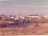 1006222_404033943051593_1405185223_n