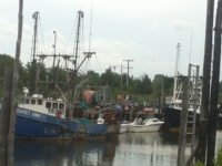 Belford Docks Cropped